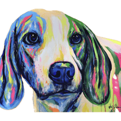 akirin_20260407212955