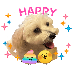 chieko_20260407213517