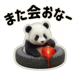 Kansai Baby Pandas Stickers Daily 2