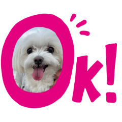 choro_20260407220000