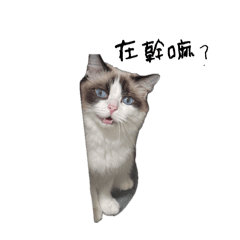 咕嘰咕嘰小寶貝2