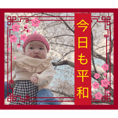 zon_20260407202406