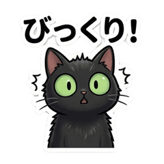 Cute & Expressive Black Cat: Daily Life