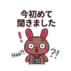 Overworked Bunny: Work Realities