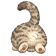 Cute & Cozy Pallas Cat for Everyday Use3