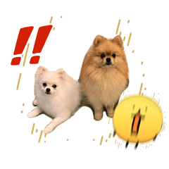 riisaa_20260407223449