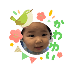 rimpei_20260407223547