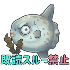 Floating Sunfish: Delicate Deep Sea Meme