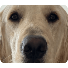 naono_20260407223848