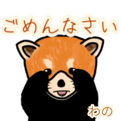 Wano's lesser panda