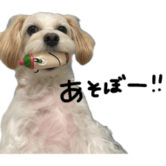 tsukuwara_20260407212242