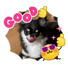 mikki_20260407212626