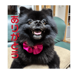 Otabe_20260407212809