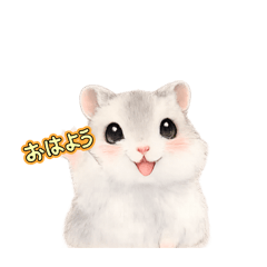 PET SEEYOUAGAIN_20260407141547