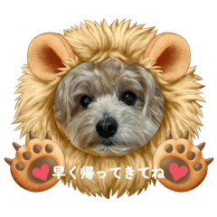 kobami_20260407230034