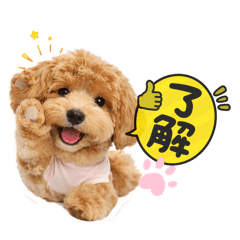 yukathi_20260407231234