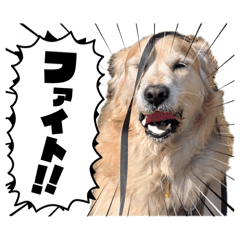 Gakuwall_20260407230422