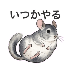 POTATO_20260407235454