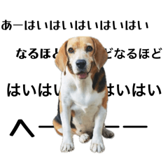 akirin_20260407235648