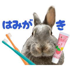 azukichi_20260408000614