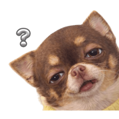 Jenny_20260408002656