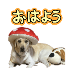 banana_20260407145258