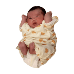 hiromi_20260408005134