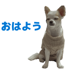 Haruto_20260408010807