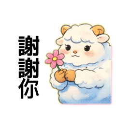 白色小綿羊日常