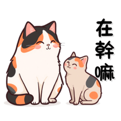 小寶貝⑦｜情侶對話