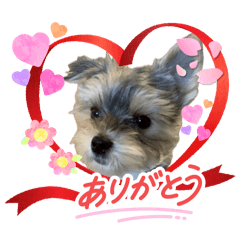 noriko_20260407222016