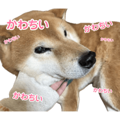 Yuuka_20260407222235