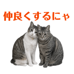 ithuki_20260408024955