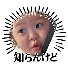 sakura_20260407155701