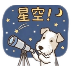 Tomo Tomo san_20260407155936