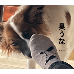 kuu11_20260408070701