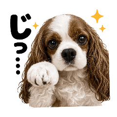 HONSON_20260407155929