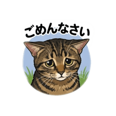 yoshii_20260408072904