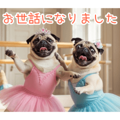 PAKAMOGOLY_20260408074451