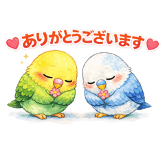 marin_20260408075049