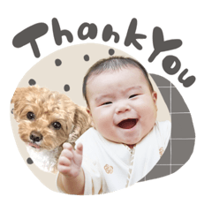 meso-stamp_20260408133858