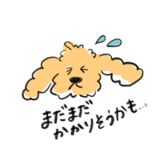 Floppy Cocker: Walks & Meals