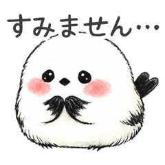 Sorry Shimaenaga for Work