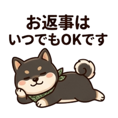 Black Shiba Mochi 2