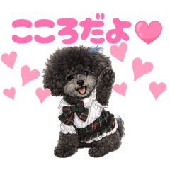 piropiro_20260408090343