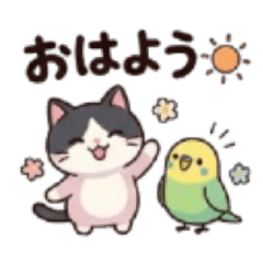 odayakamaigo_20260408090833