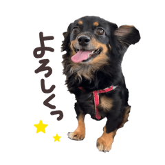 Naaka_20260408094009