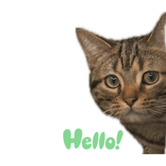 我是小五～～～