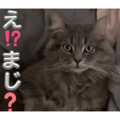kana_20260407162206