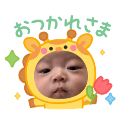 TOA122802808_20260407162637